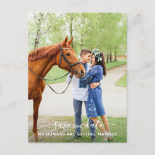 Postal De Anuncios Boda Mascota de fotos de caballos personalizada Sa