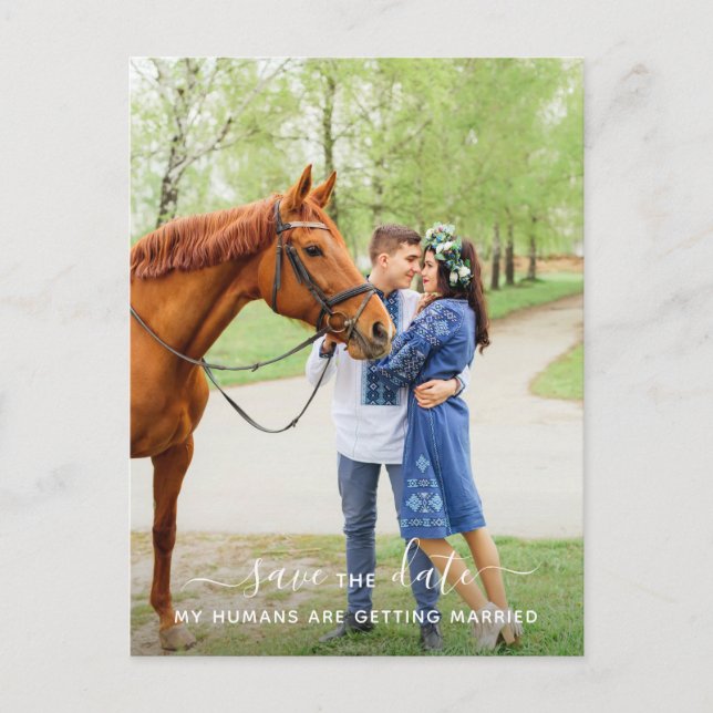 Postal De Anuncios Boda Mascota de fotos de caballos personalizada Sa (Anverso)