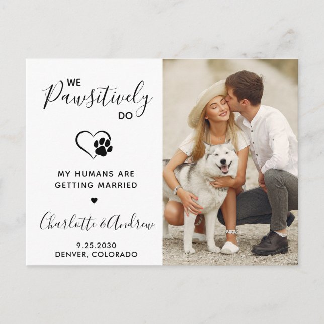 Postal De Anuncios Boda Moderna de Mascotas Foto Perro Guardar la Fec (Anverso)