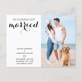 Postal De Anuncios Boda Moderna de Perros Recién Casados Huida