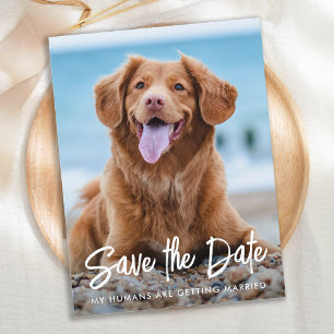 Postal De Anuncios Boda Perro Moderno Personalizado Mascota Foto Guar