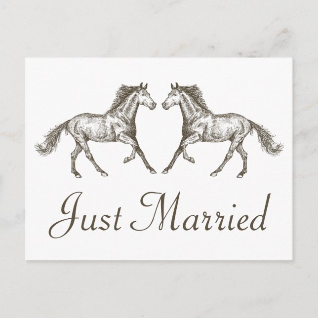Postal De Anuncios Boda Rústica de Occidente Recién Casados Caballo d (Anverso)