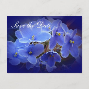 Postal De Anuncios Boda "Salva la fecha" Violetas de África azul
