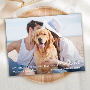 Postal De Anuncios Boda Simple de Mascotas Perro Aviso de Salvación d