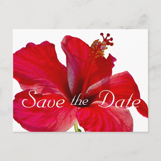 Postal De Anuncios Boda tropical hibiscus salva la fecha (Anverso)