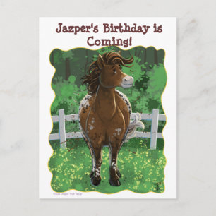 Postal De Anuncios Caballo Appaloosa Tiempo de Fiesta