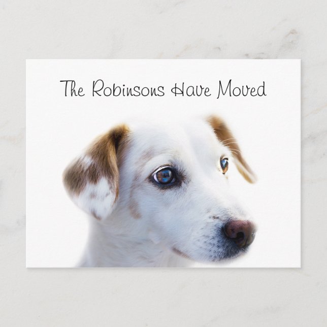 Postal De Anuncios Cachorro Bonito Nueva Dirección (Anverso)