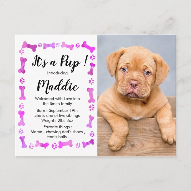 Postal De Anuncios Cachorro Nuevo - Chica Rosa Nueva Mascota - Cumple (Anverso)