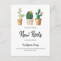 Cactus Chic Plantado Nuevas Raíces Movido Mudado