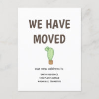 Cactus en una olla que nos hemos mudado