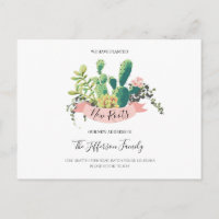 Cactus Plantado Nuevas Raíces Movido Mudado