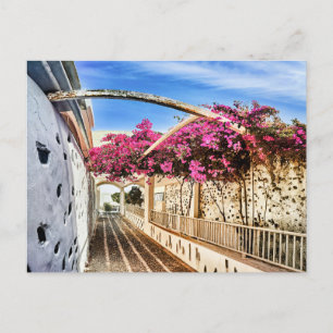 Postal De Anuncios Callejón pintoresco en Santorini, Grecia