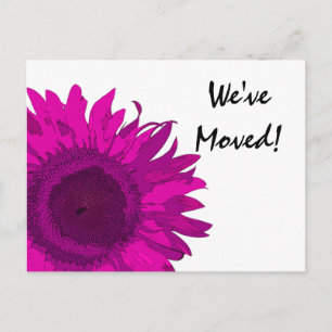 Postal De Anuncios Cambio de dirección de girasol rosa brillante