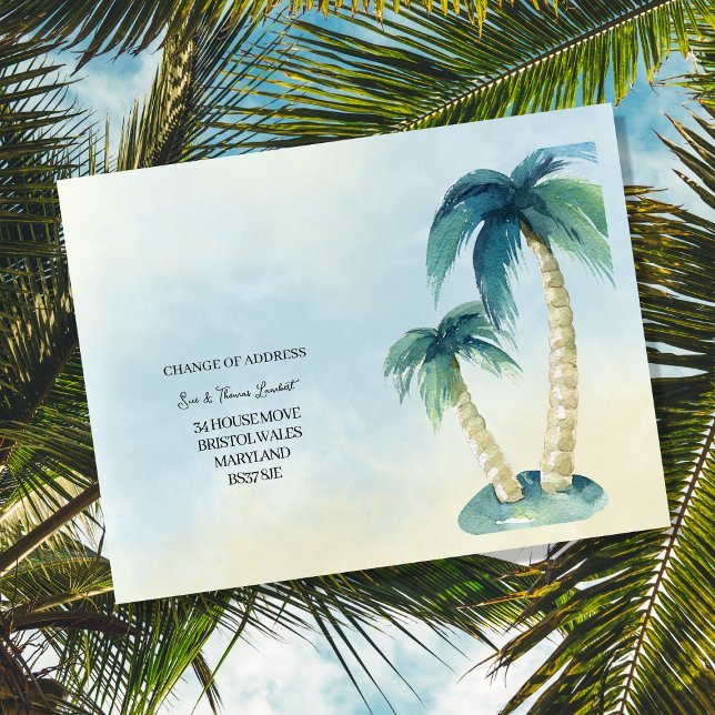 Postal De Anuncios Cambio de dirección tropical, palmera, Florida (Subido por el creador)