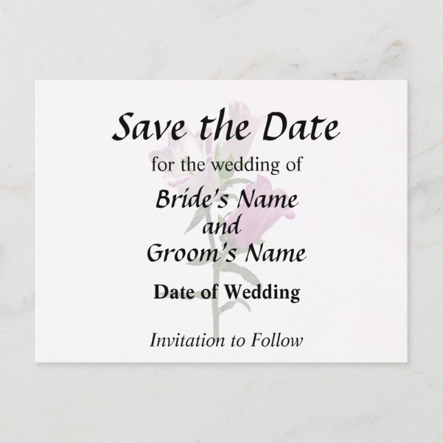 Postal De Anuncios Campanas de Canterbury rosadas (Anverso)