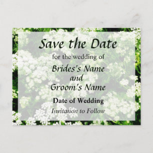 Postal De Anuncios Campo de Save the Date de encaje de la Reina Ana