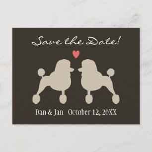 Postal De Anuncios Caniches Estándar Elegantes Boda Save the Date