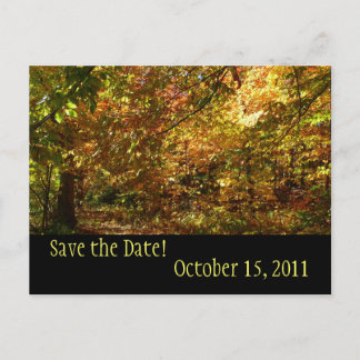Postal De Anuncios Canopy of Fall Leaves Save the Date Postcard