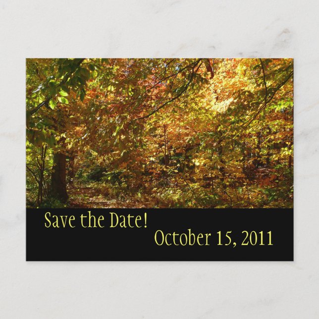 Postal De Anuncios Canopy of Fall Leaves Save the Date Postcard (Anverso)