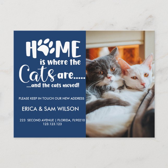 Postal De Anuncios Cats Cambio de dirección que hemos trasladado casa (Anverso)