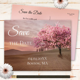 Postal De Anuncios Cherry Blossom Tree Save the Date Postcard