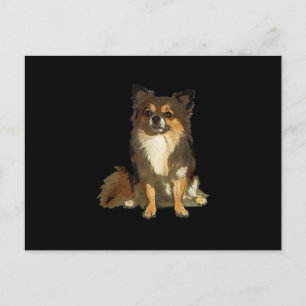 Postal De Anuncios Chihuahua de pelo largo gráfico de perro de dibujo