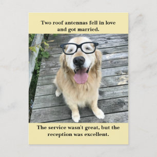Postal De Anuncios Chiste divertido de boda de Golden Retriever Meme
