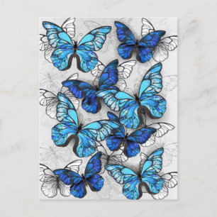 Postal De Anuncios Composición de mariposas blancas y azules