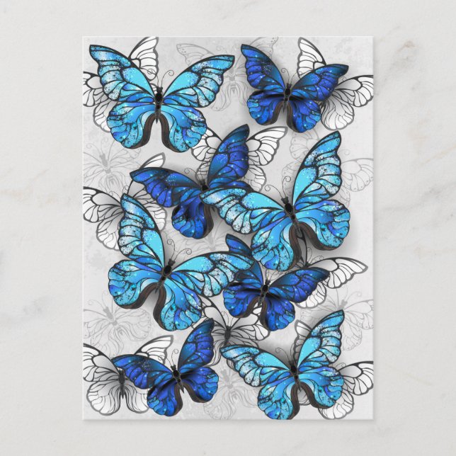Postal De Anuncios Composición de mariposas blancas y azules (Anverso)