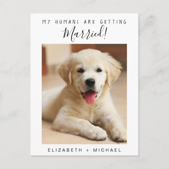 Postal De Anuncios Compromiso de Foto de Mascota Adorable (Anverso)