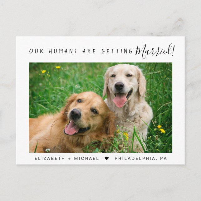 Postal De Anuncios Compromiso de Mascotas Fotográfico Moderno (Anverso)