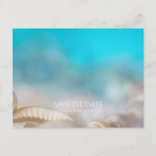 Postal De Anuncios Conchas Marinas Elegantes Azules Tropicales Salva