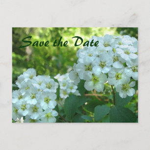 Postal De Anuncios Corona Nupcial Save the Date