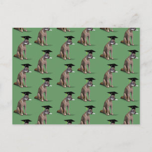 Postal De Anuncios Coyote Licenciado