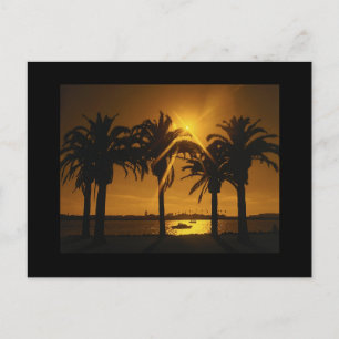Postal De Anuncios Crea Tu Propio Tema de Boda de Playa Save The Date