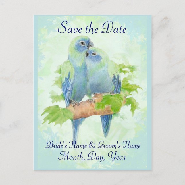 Postal De Anuncios Cuidada Cuddling Loro Tropical Boda Pareja (Anverso)
