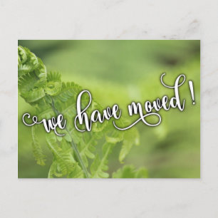 Postal De Anuncios Curling Green Ferns Foto "Nos hemos movido" Aviso