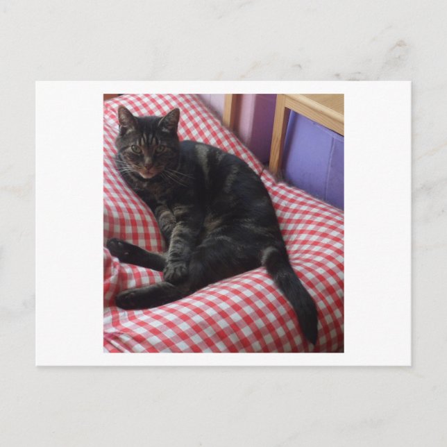 Postal De Anuncios Cute Dave Postcard (Anverso)