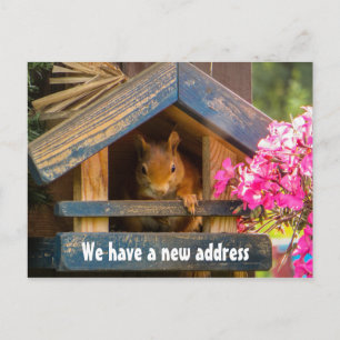 Postal De Anuncios Cute Squirrel Nueva dirección residencial que acab