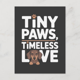 Postal De Anuncios Dachshund Pequeñas Patitas, Amor Intemporal