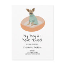 Dibujo divertido de un perro chihuahua lindo movié