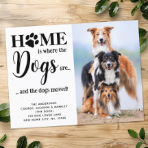 Dirección Nueva Moderna Personalizada Foto Perros