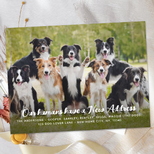 Postal De Anuncios Divertida Foto de Mascota Perro Personalizada con 