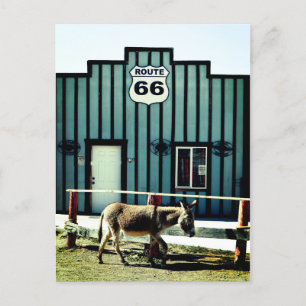 Postal De Anuncios Donkey Town Oatman Arizona