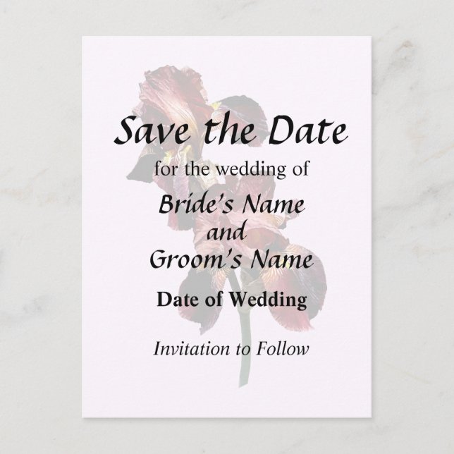 Postal De Anuncios Dos irlandeses marrones y amarillos (Anverso)