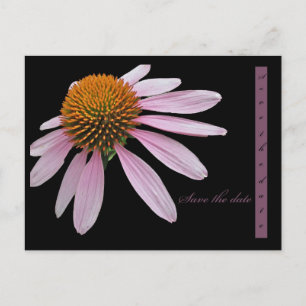 Postal De Anuncios Echinacea Reserva la Fecha