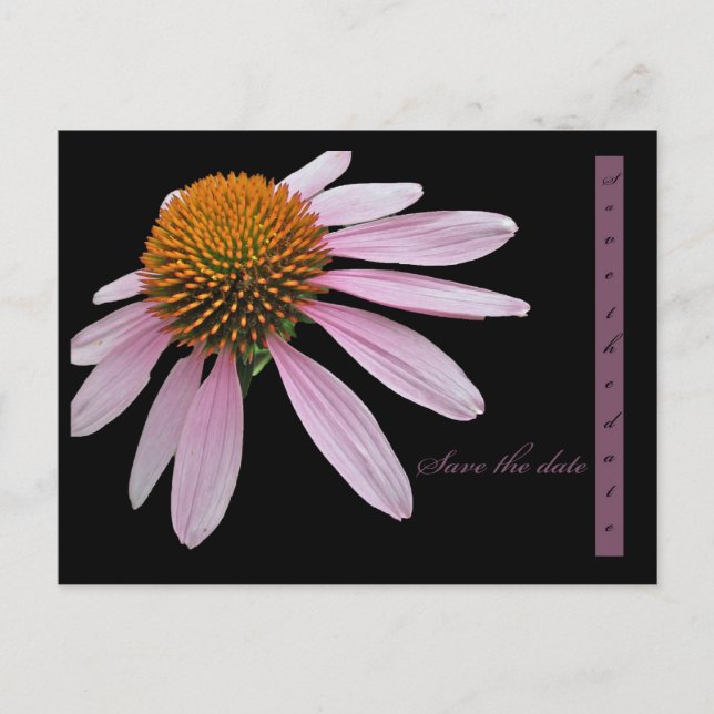 Postal De Anuncios Echinacea Reserva la Fecha (Anverso)