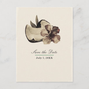 Postal De Anuncios El coco tropical vintage y el hibiscus salvan la f