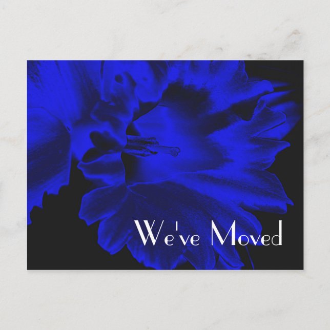 Postal De Anuncios Electric Blue Daffodil New Address Floral Postcard (Anverso)