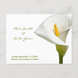 Postal De Anuncios Elegante Cala Lily - Guardar la Fecha blanca